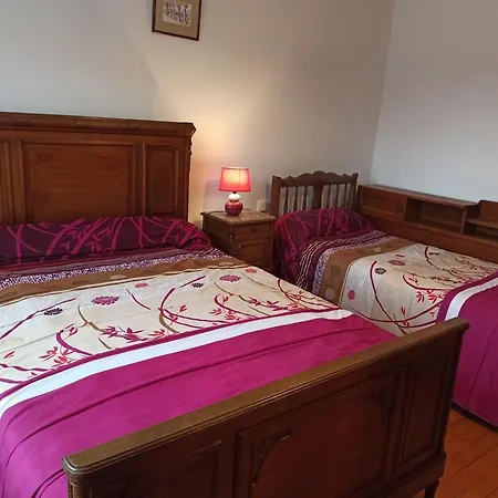 Convivial Avec 3 Chambres, Proche Du Patrimoine Historique, Cour Et équipements Inclus - Fr-1-589-38 Séjour à la campagne
